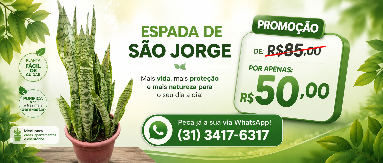 Ambiente com plantas da Multiplantas